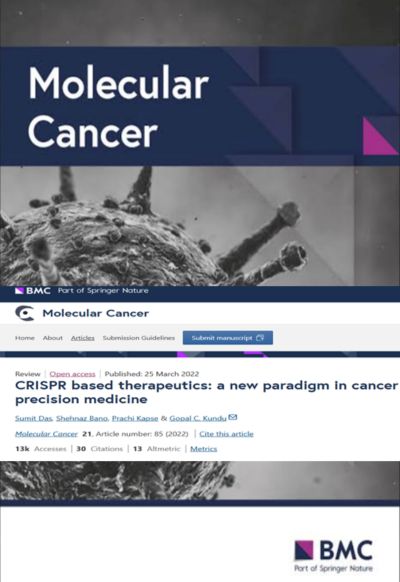 International_journal_2022